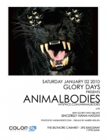 5_animalbodies.jpg